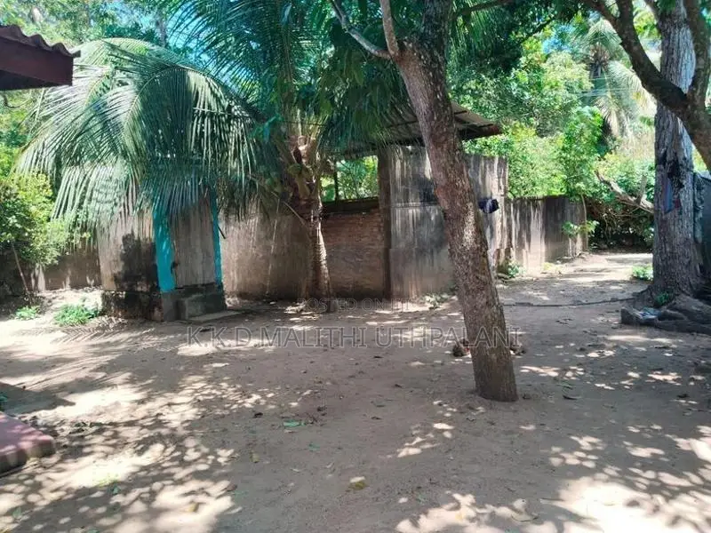Land For Sale Walgama Mathara