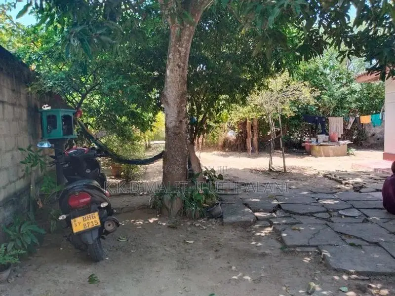 Land For Sale Walgama Mathara