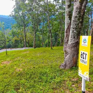 Land for Sale in Matale