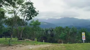 Land for Sale in Matale
