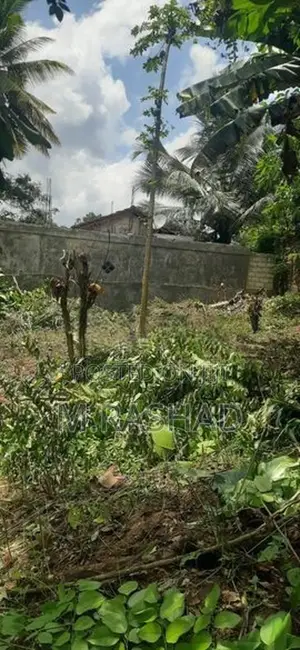 Land For Sale Avissawella
