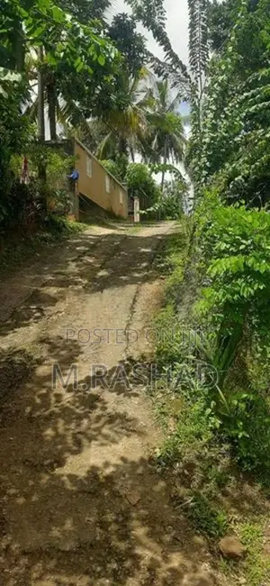 Land For Sale Avissawella