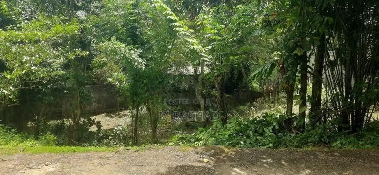 Land For Sale Avissawella