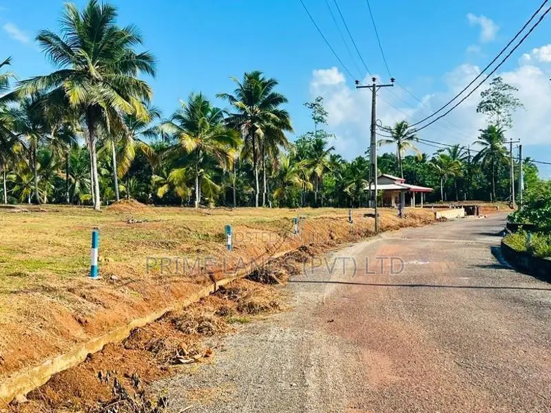 අලුත්ගමින් හොඳම ඉඩමක්