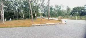Land for sale near to Horana
