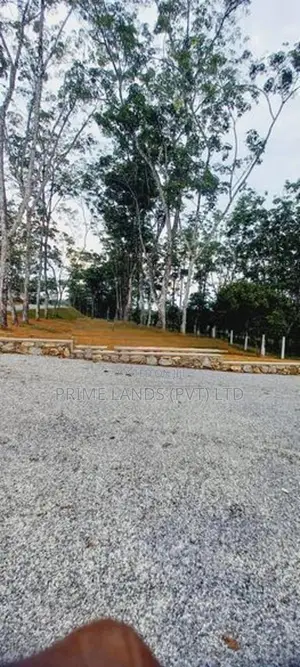 හොරන කළුතර බස් පාරට ලඟින් හොඳම තැනක්