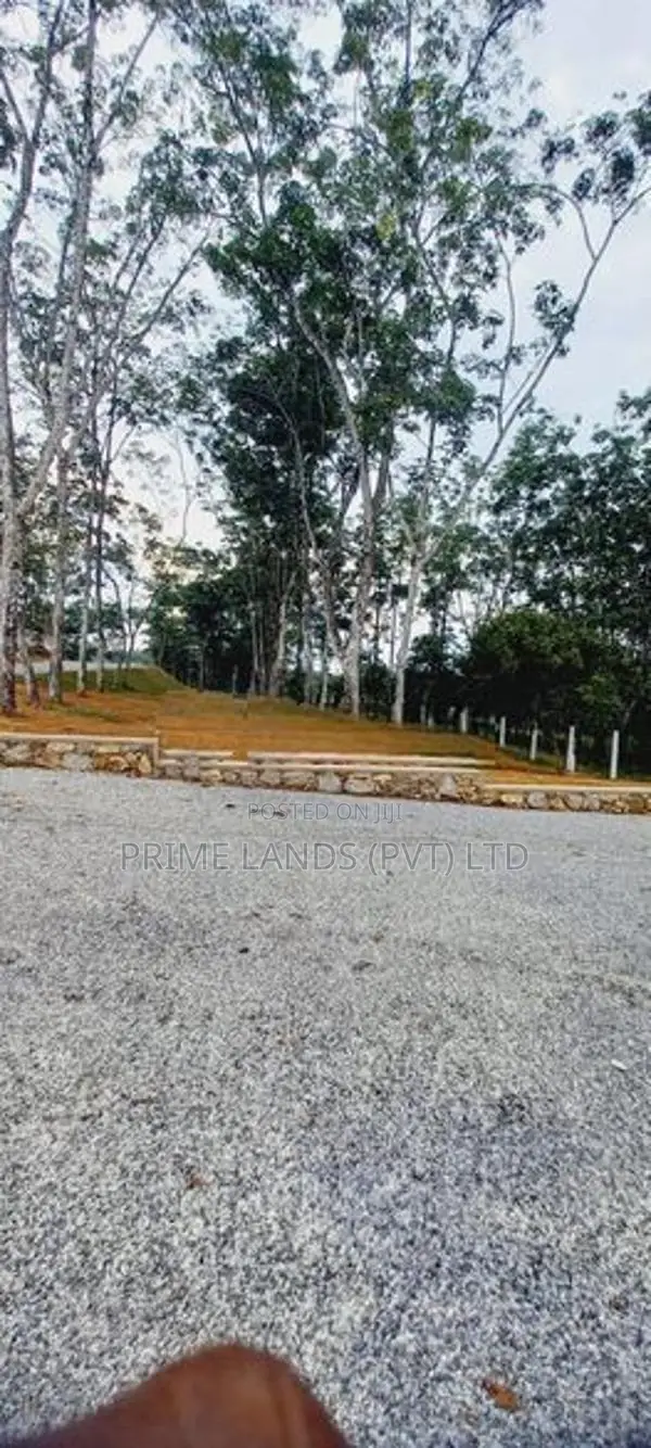 හොරන කළුතර බස් පාරට ලඟින් හොඳම තැනක්