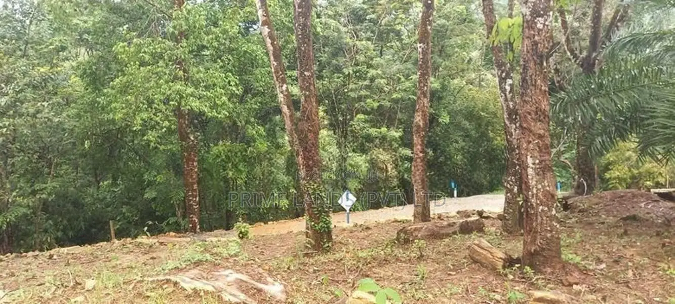හොරන කළුතර බස් පාරට ලඟින් හොඳම තැනක්