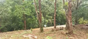 හොරන කළුතර බස් පාරට ලඟින් හොඳම තැනක්
