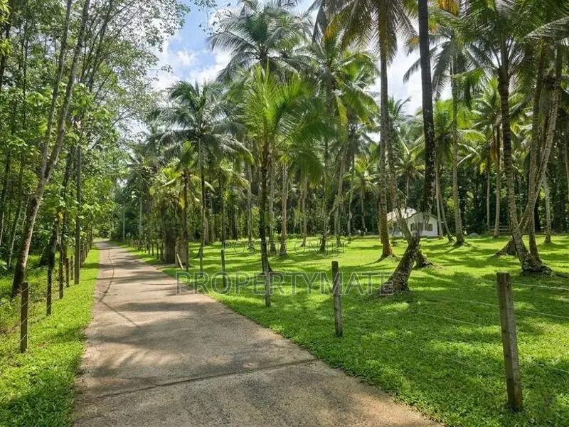 1 Acer Land for Sale in Horana Ingiriya