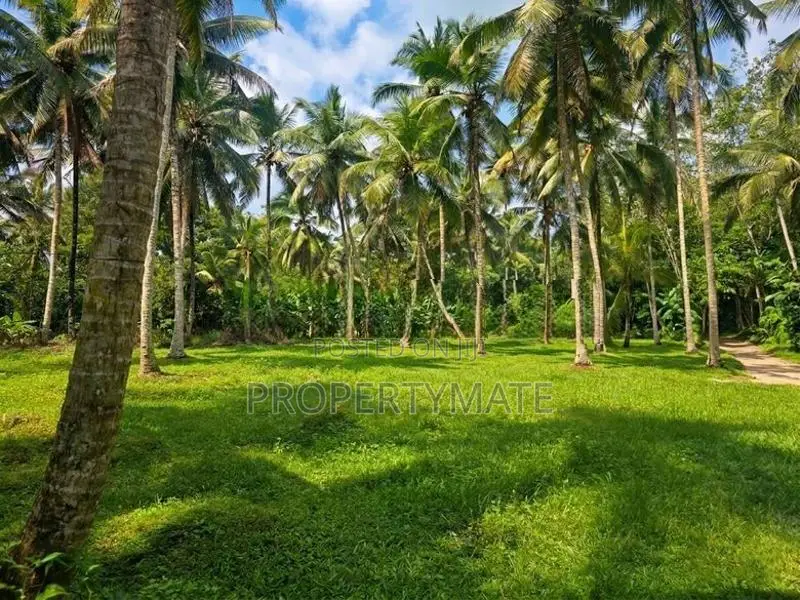 1 Acer Land for Sale in Horana Ingiriya