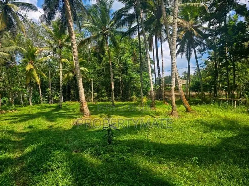 1 Acer Land for Sale in Horana Ingiriya