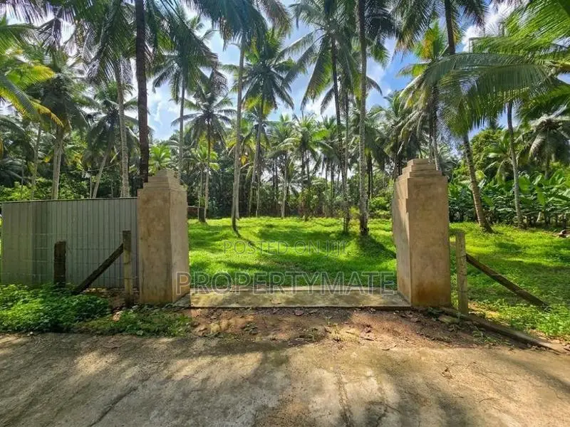 1 Acer Land for Sale in Horana Ingiriya