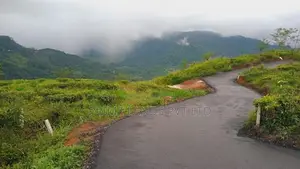 Beautiful Land Sale in Pudaluoya