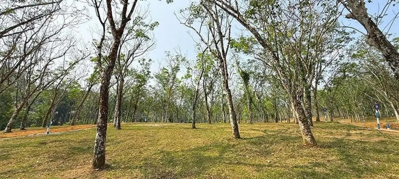 Land for sale near to Moragahena