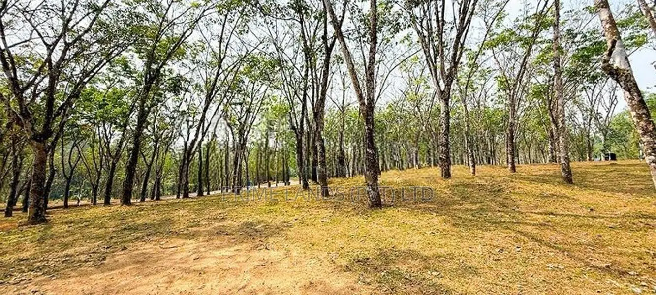 Land for sale near to Moragahena