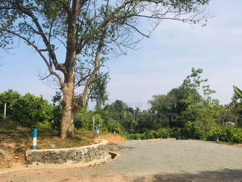 ටික ගෙවන්න හොඳම ඉඩමක් කලුතරින්