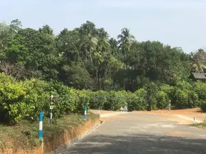 ටික ගෙවන්න හොඳම ඉඩමක් කලුතරින්