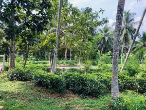 Near to anguruwathota rd valuable land