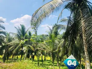Valuable land plots near to bandaragama and horana