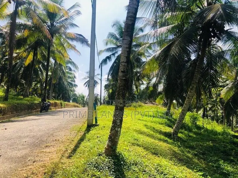 පානදුර අඟුරුවාතොට බස් පාරට 400m