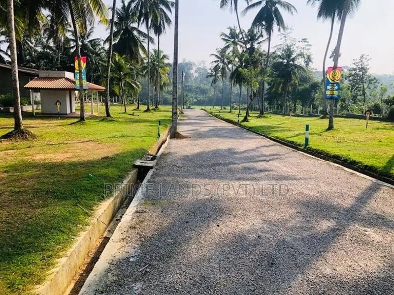 හොරන තල්ගහවිල පාරට මුහුනලා වෙල්යායකට මායිම්ව