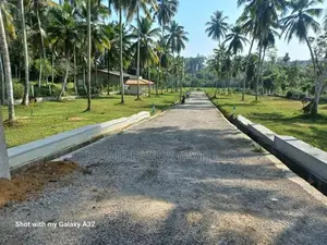 හොරන තල්ගහවිල පාරට මුහුනලා වෙල්යායකට මායිම්ව