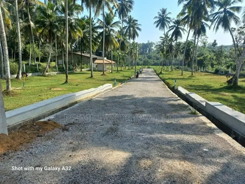 හොරන තල්ගහවිල පාරට මුහුනලා වෙල්යායකට මායිම්ව