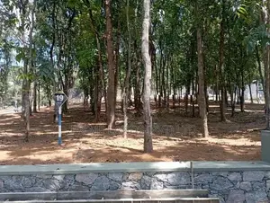 Near to kahathuduwa highway entrance