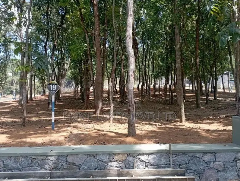 Near to kahathuduwa highway entrance