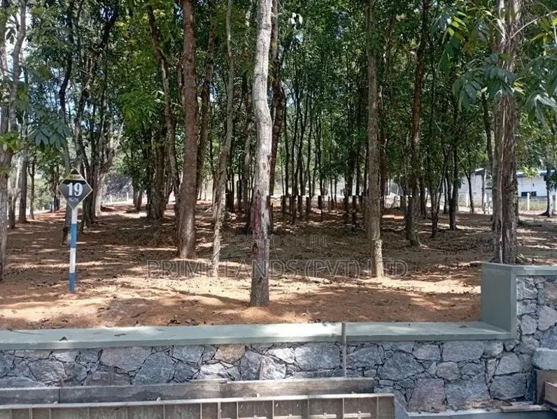 Near to kahathuduwa highway entrance
