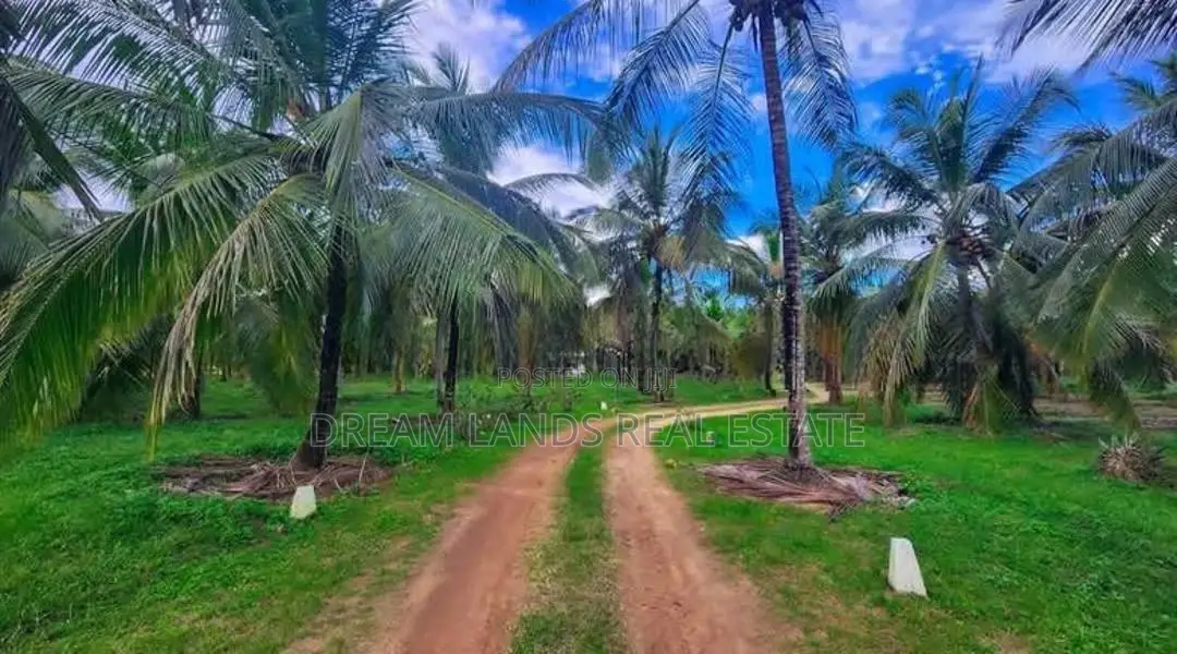 Chilaw 45 Acers Coconut Land For Sale ( RLS - 765 )