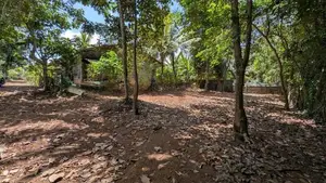 Land for sale in gampaha / KM 15645