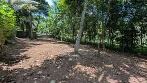 Land for sale in gampaha / KM 15645