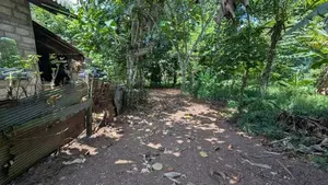 Land for sale in gampaha / KM 15645