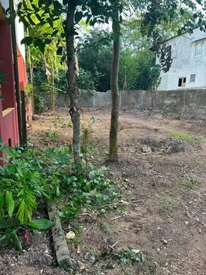 8.45 Perch Land for sale in Meda Walikada, Rajagiriya