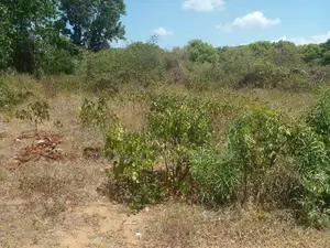 Land For Sale Mountlavinia