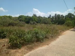 Land For Sale Borupana Rathmalana