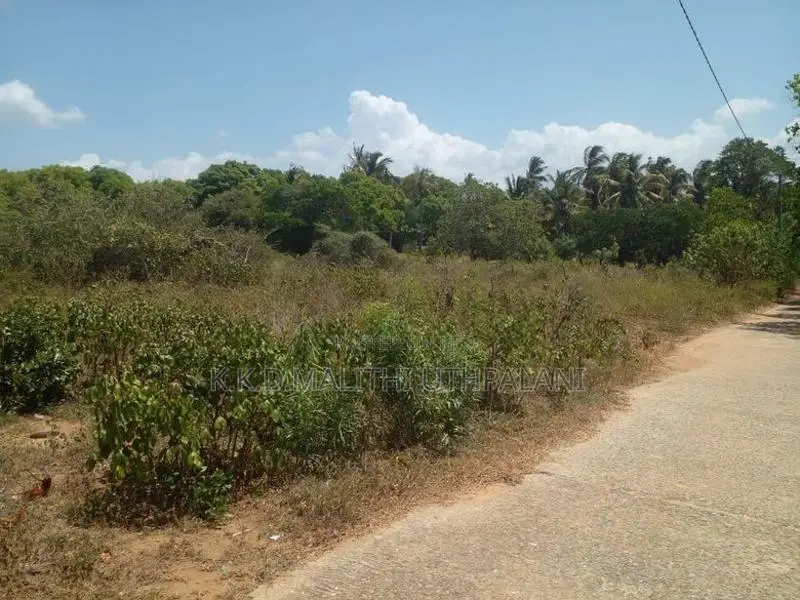 Land For Sale Borupana Rathmalana