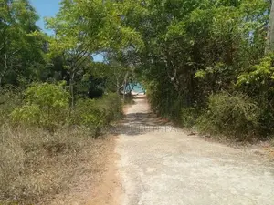 Land For Sale Borupana Rathmalana