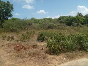Land For Sale Borupana Rathmalana