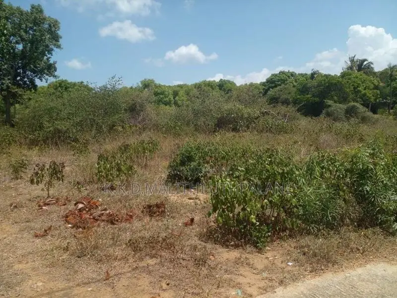 Land For Sale Borupana Rathmalana