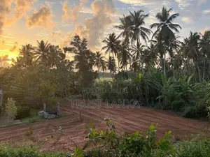 Land for Sale – Ja-Ela