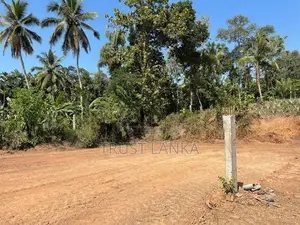 Prime Land for Sale in Ja Ela