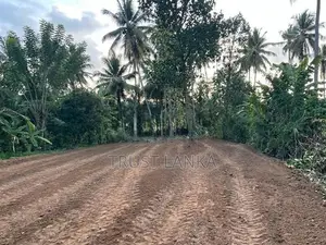 Land for Sale in Ja Ela