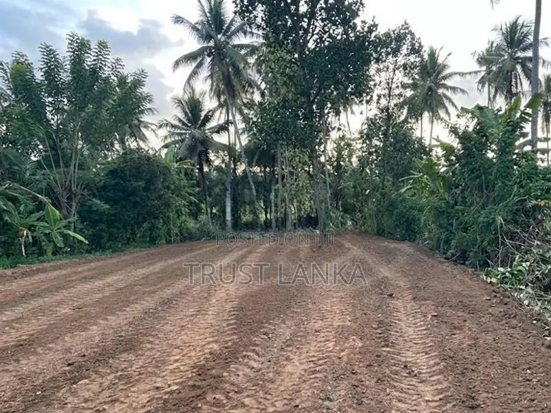 Land for Sale in Ja Ela