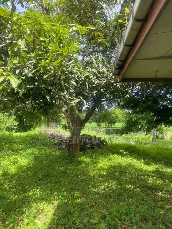 Land For Sale Rathmalana