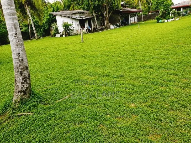 Land for sale in wadduwa / KM 13336