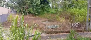 6.5 Perch Land for sale in Rathuwila Watthe Road, Athurugiriya