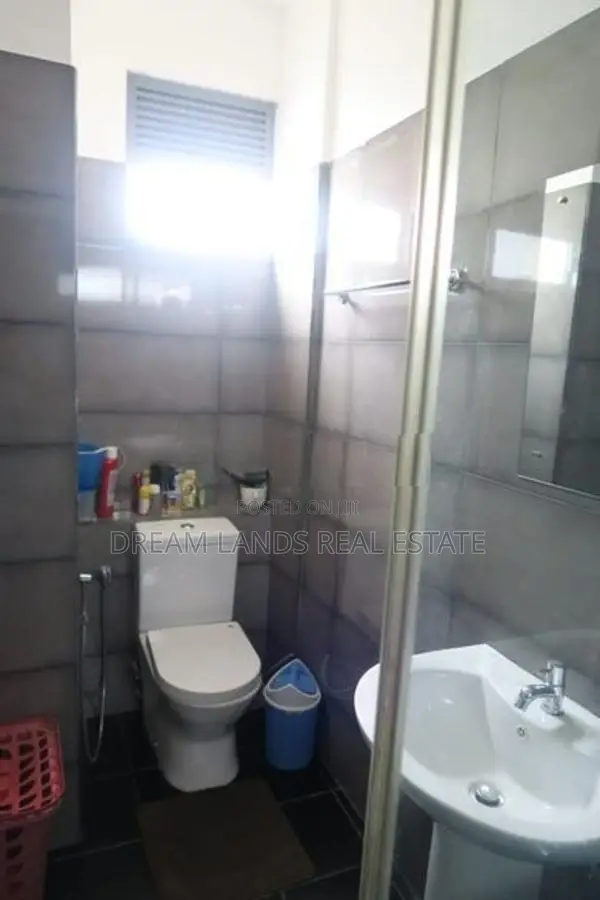 Ovel View apartment for rent colombo 8